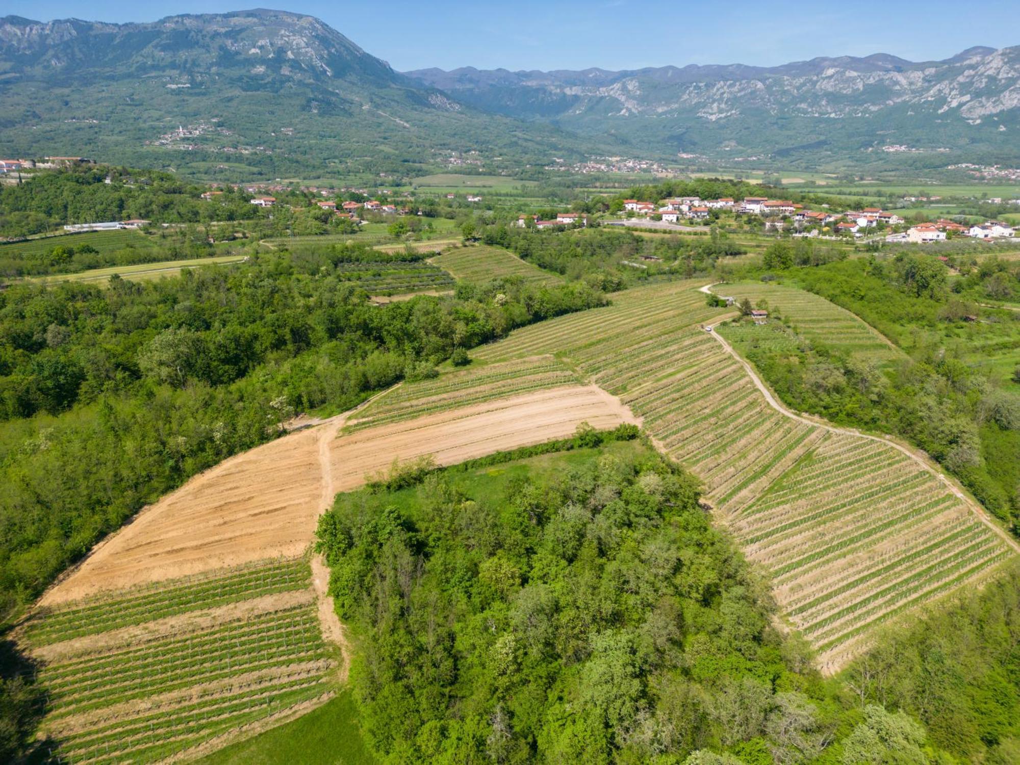Apartma Valic Ajdovščina Exterior foto